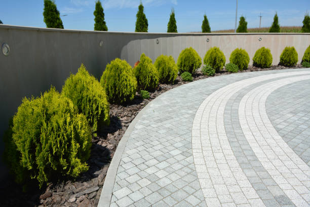 Best Driveway Pavers Near Me  in Lexington, MS